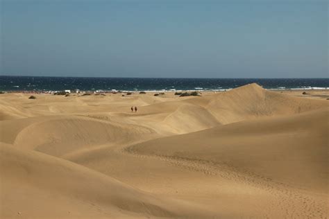 maspalomas gay cruising|Maspalomas Sand Dunes & Gay Beach — Gran Canaria.